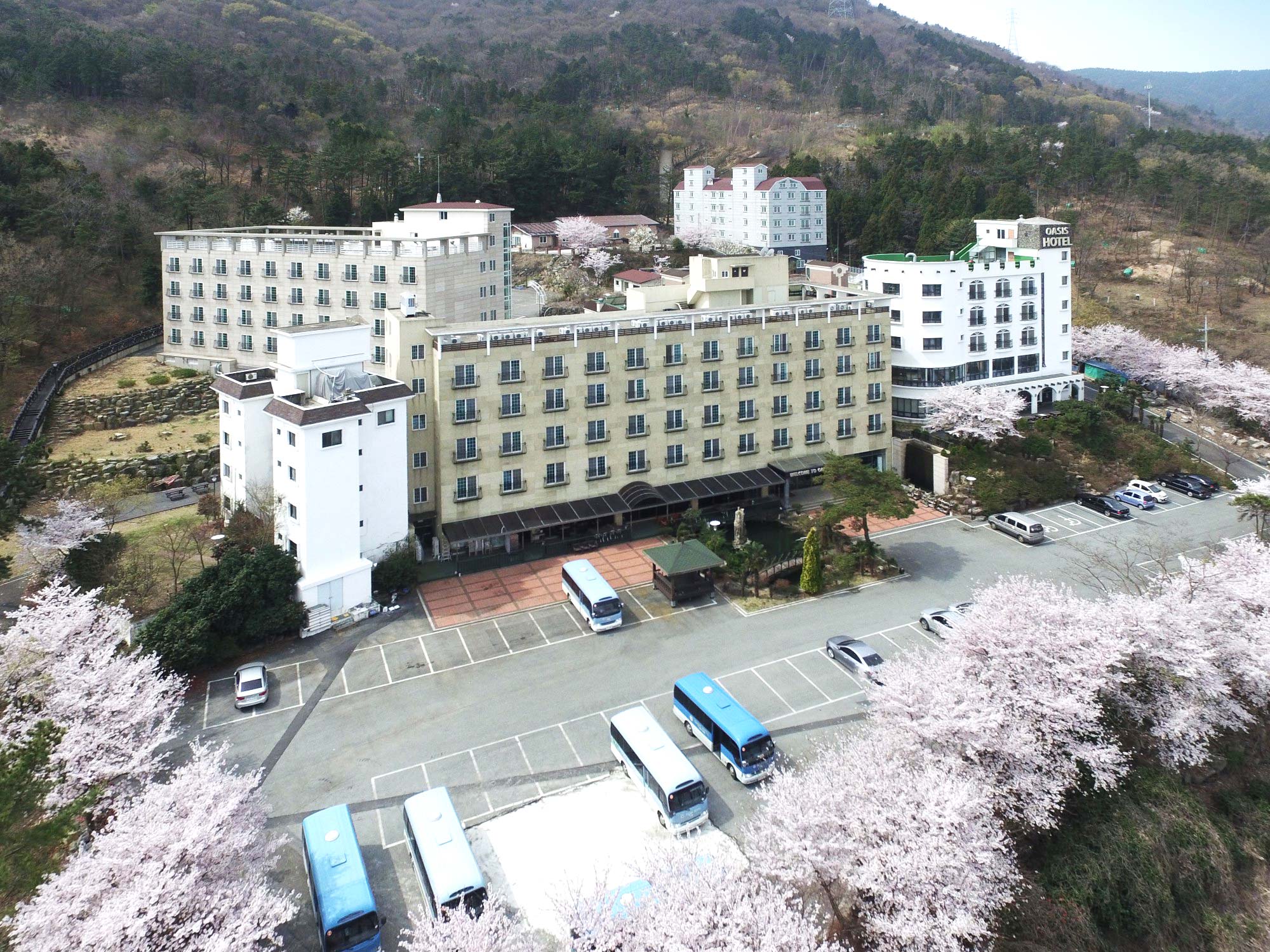거제 오아시스호텔, 거제·고성, 경상 - 여기어때 특가
