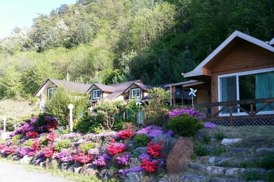 단양 가곡하늘채펜션, 단양·충주·제천·괴산, 충북 - 여기어때 특가