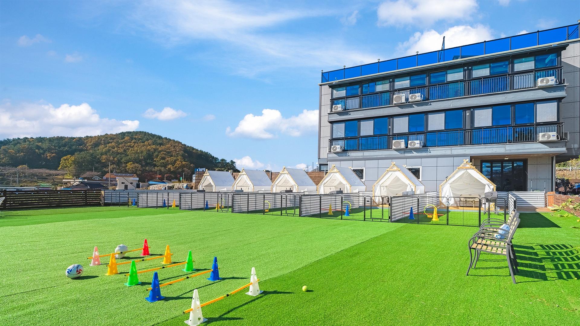 남해멍멍파크 2