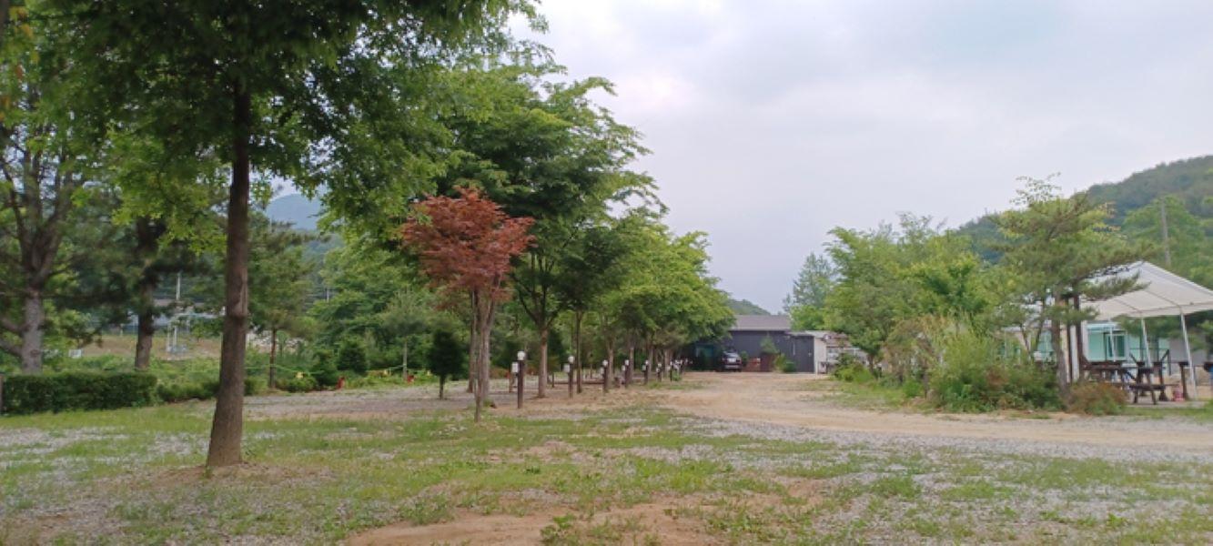 화천 다희펜션캠핑장, 홍천·인제·철원·화천, 강원 - 여기어때 특가