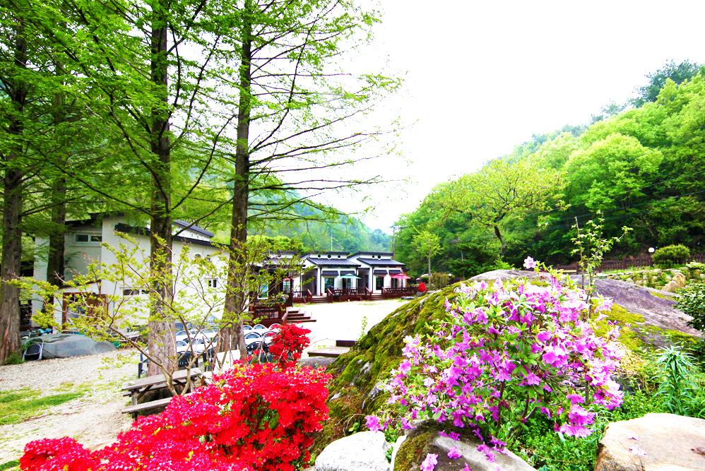 하동 지리산시인의정원, 산청·하동·합천·거창, 경남 - 여기어때 특가
