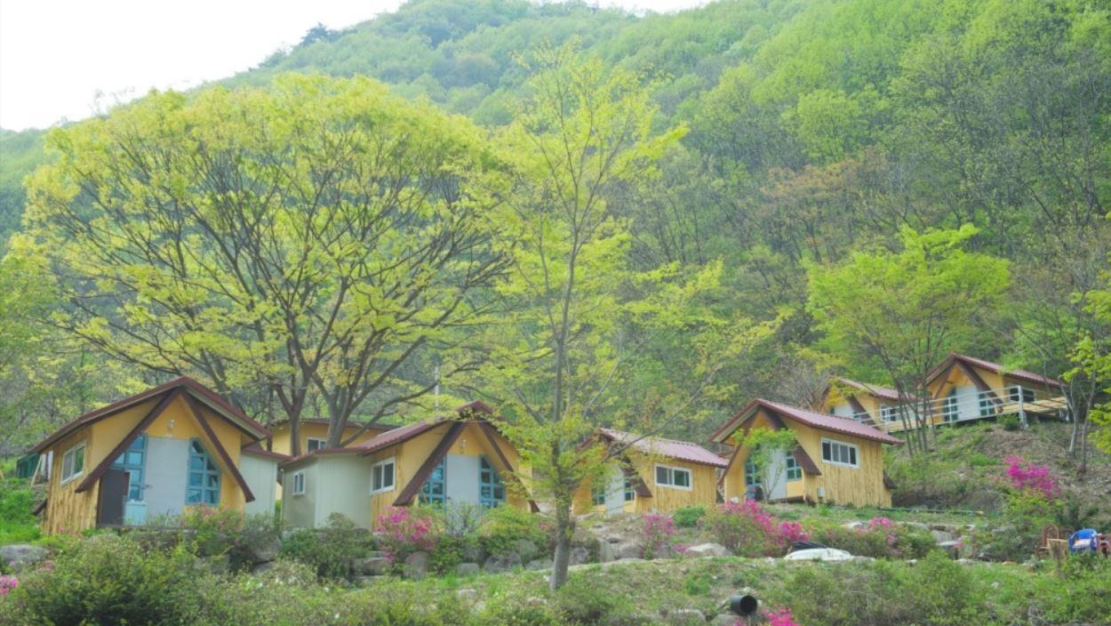 완주 예원캠핑장, 전주·무주, 전라 - 여기어때 특가