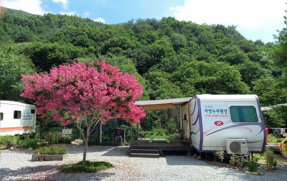 영주 소백산자연누리 카라반야영장, 경상/부산 - 여기어때 특가
