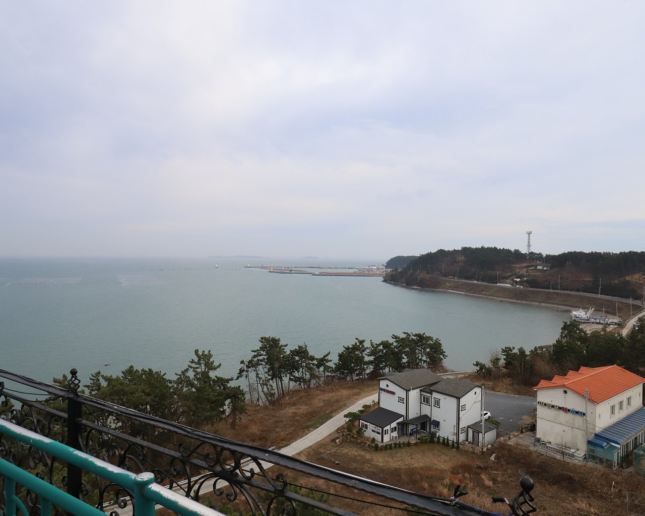 대표 사진