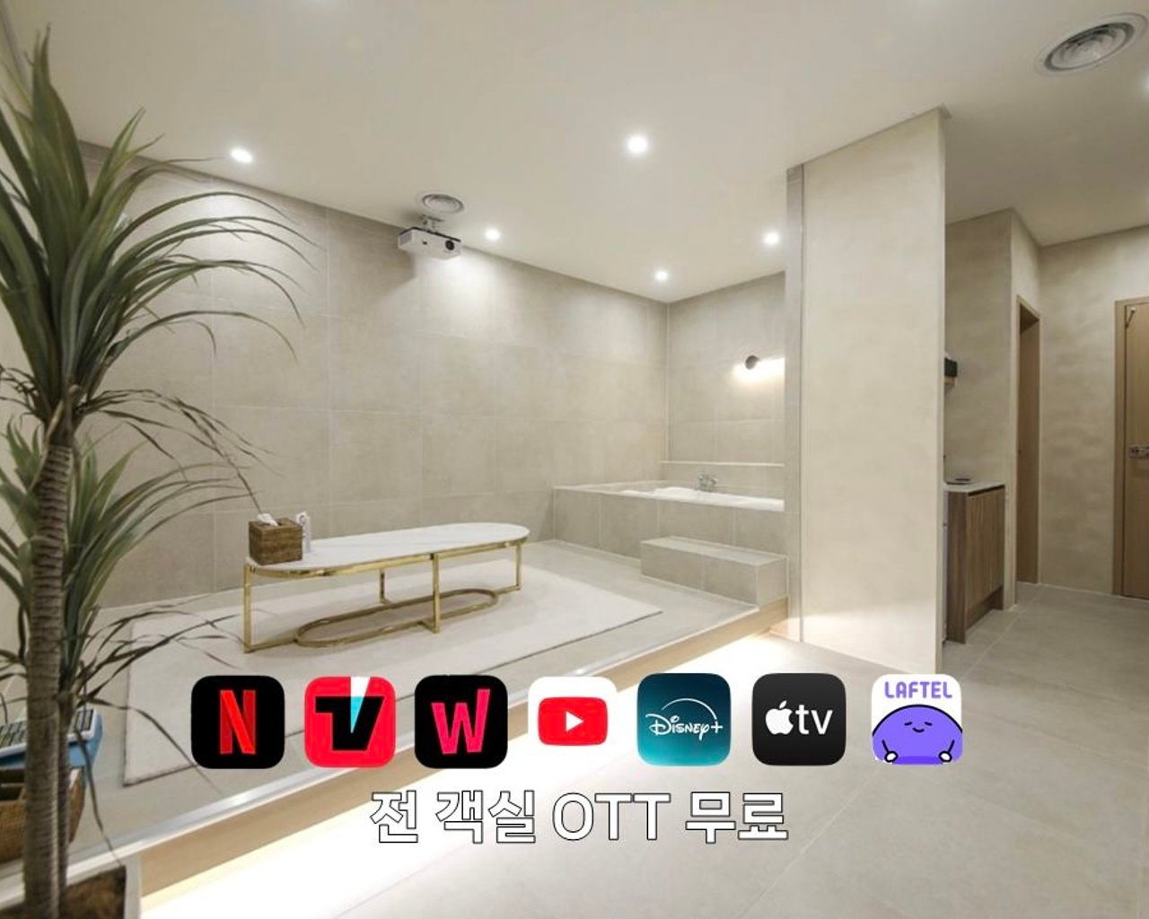 대표 사진
