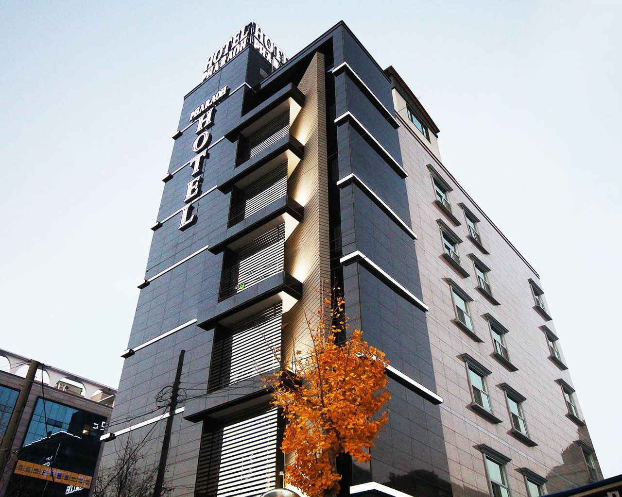 대표 사진