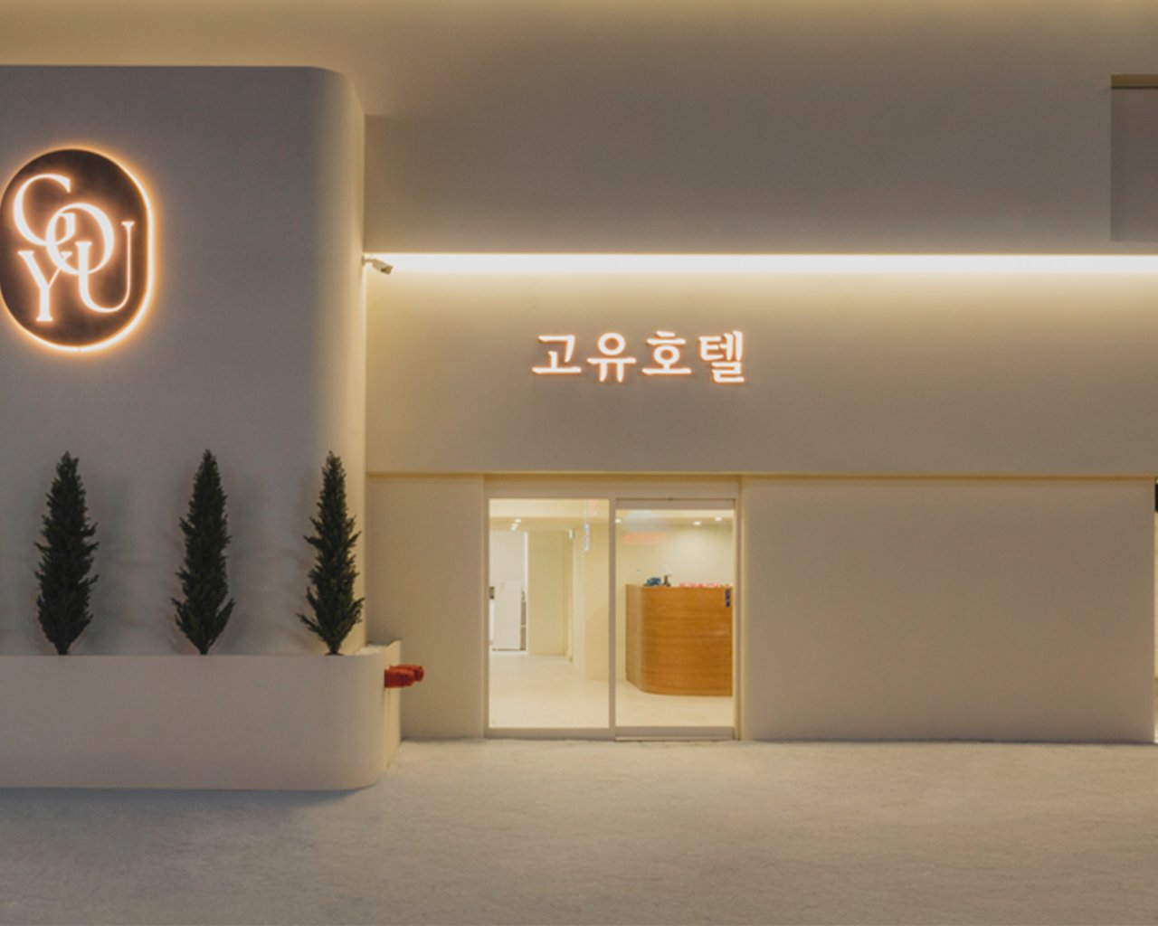 대표 사진