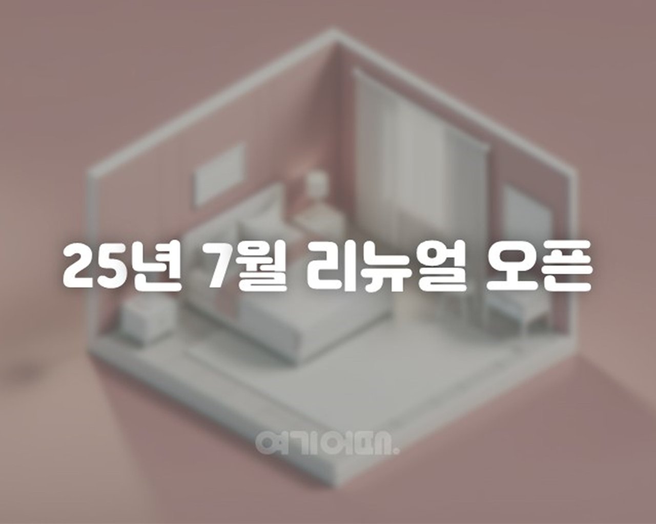 대표 사진