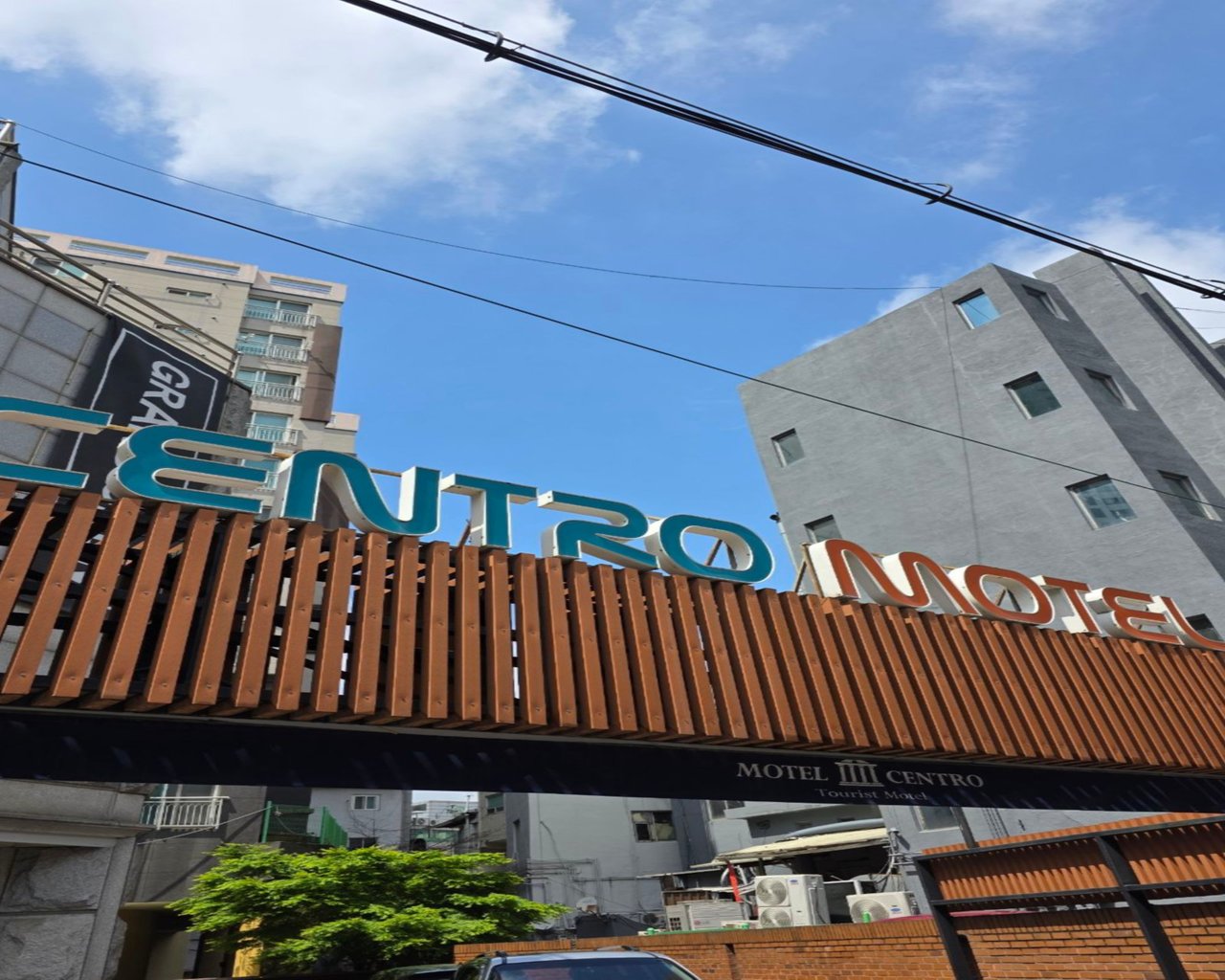대표 사진