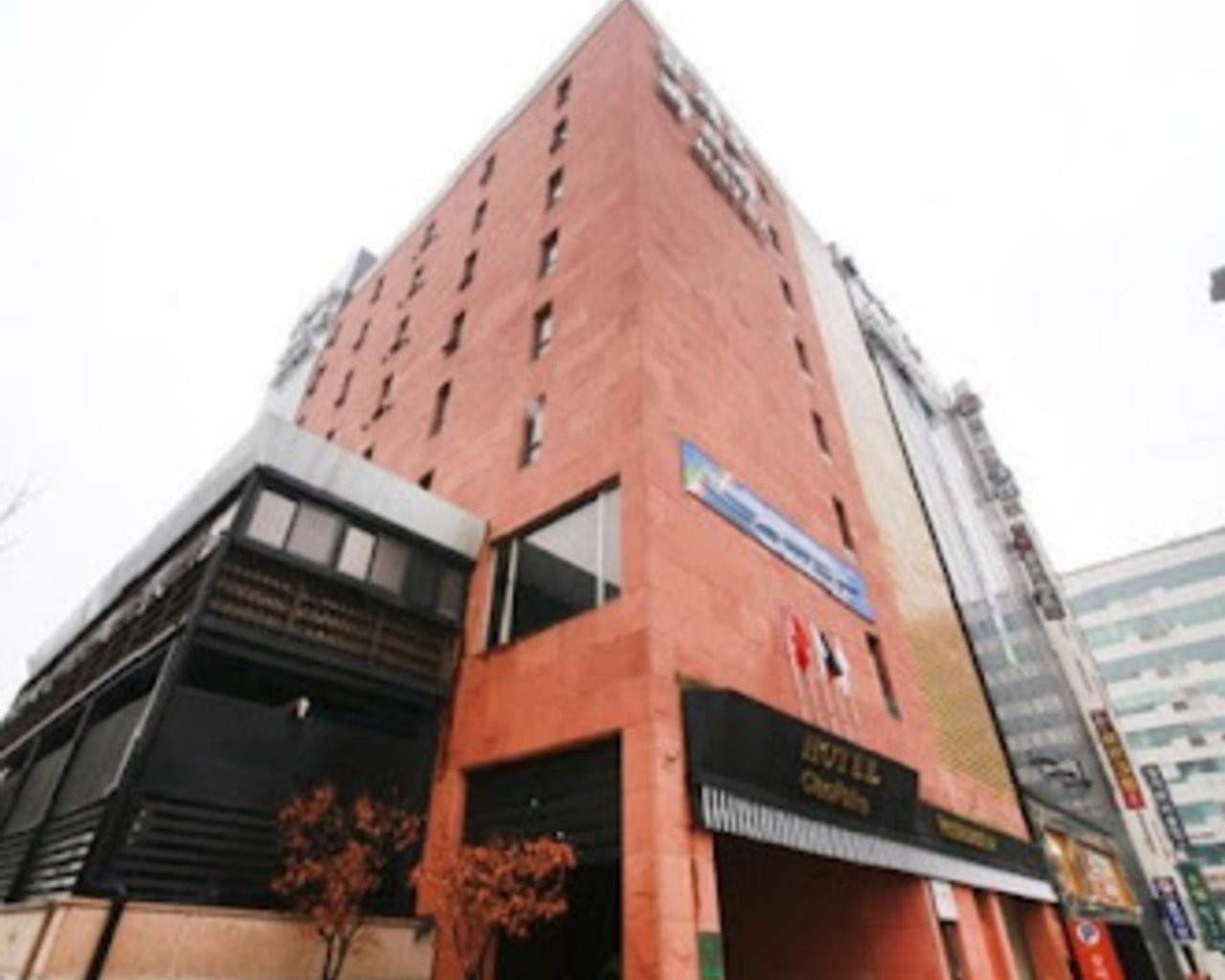대표 사진