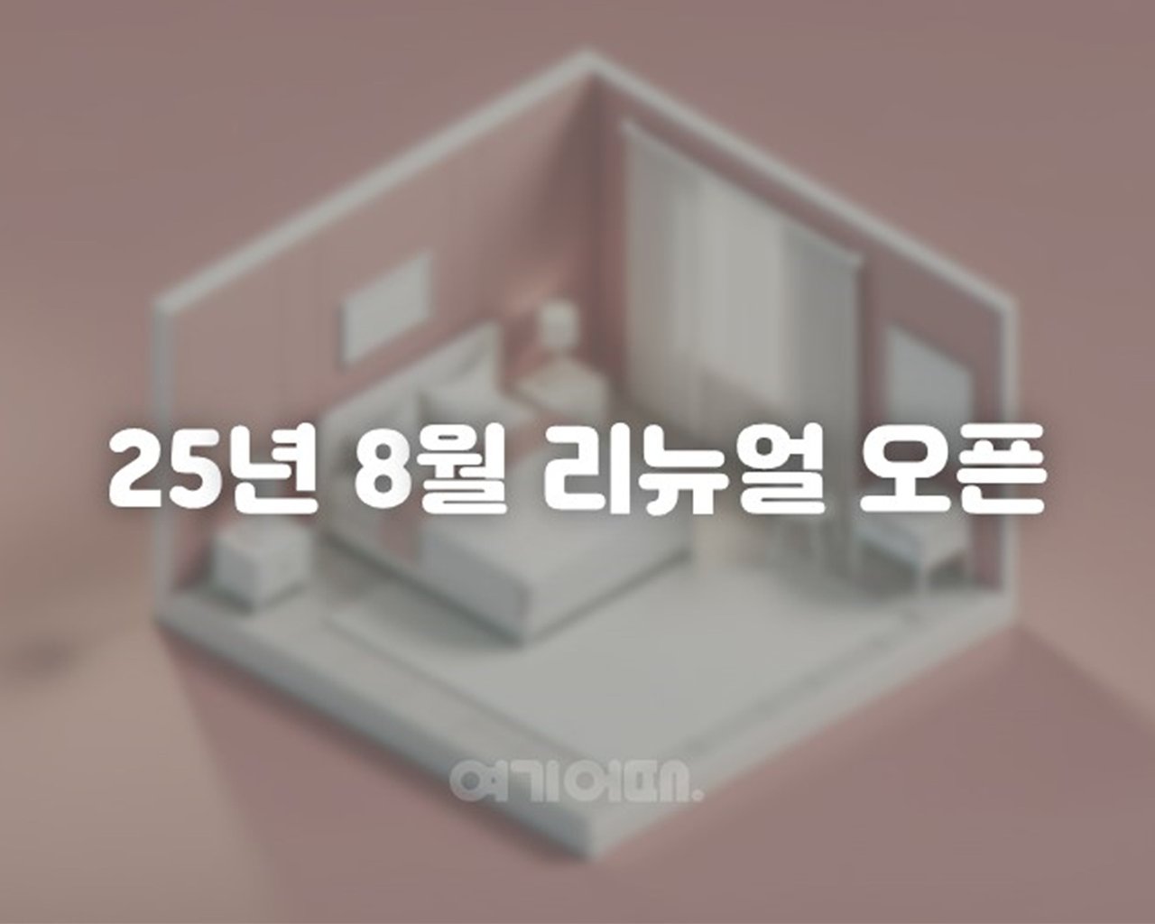 대표 사진