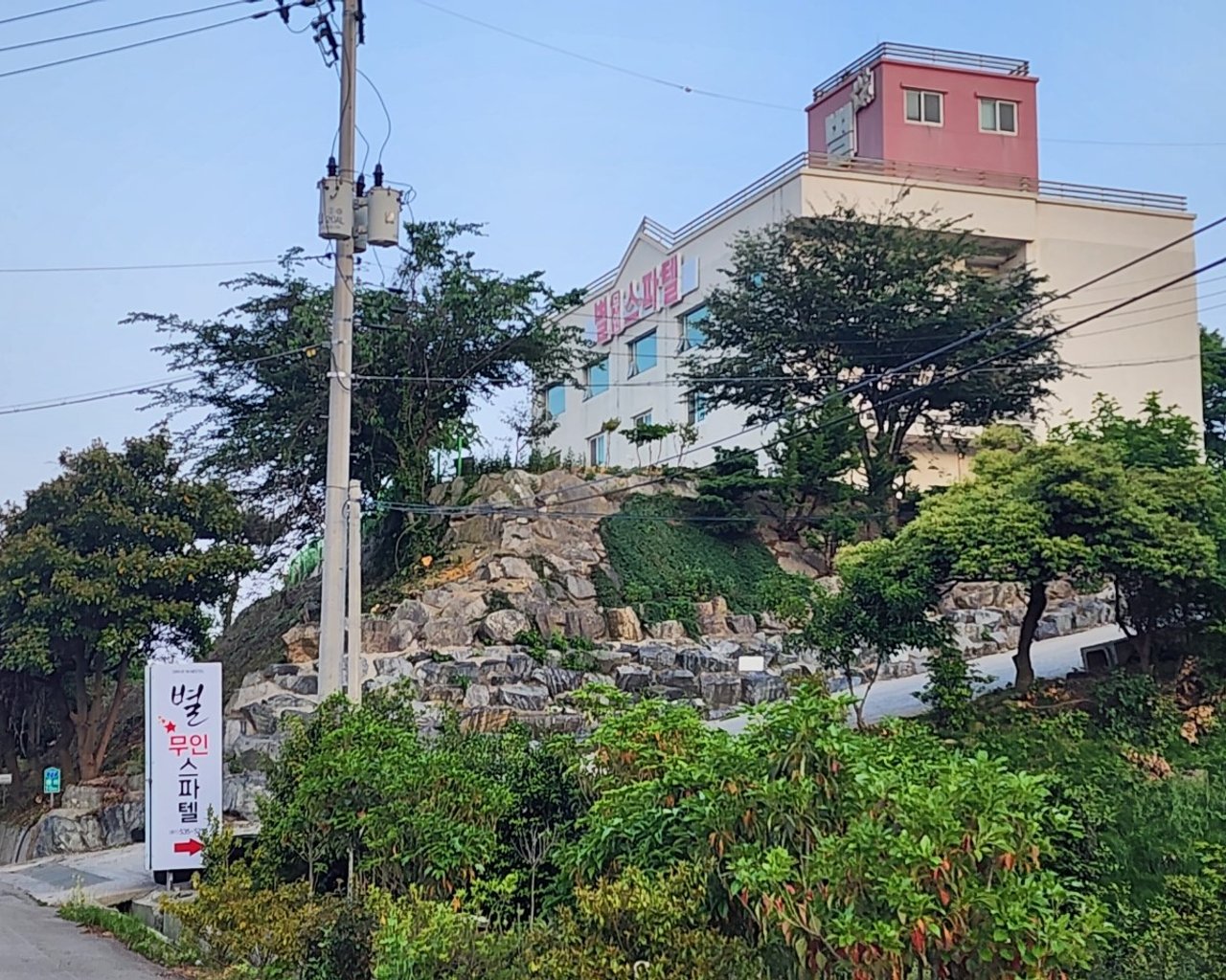 대표 사진