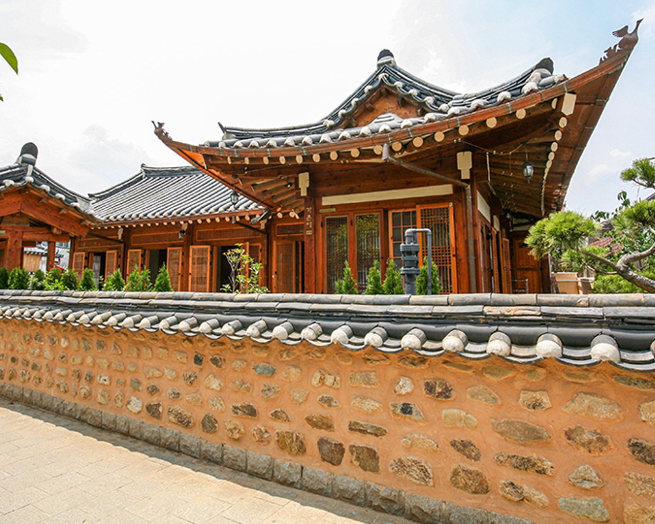 대표 사진
