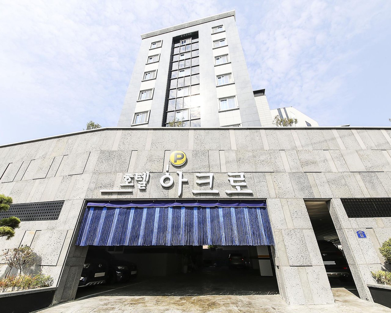 대표 사진