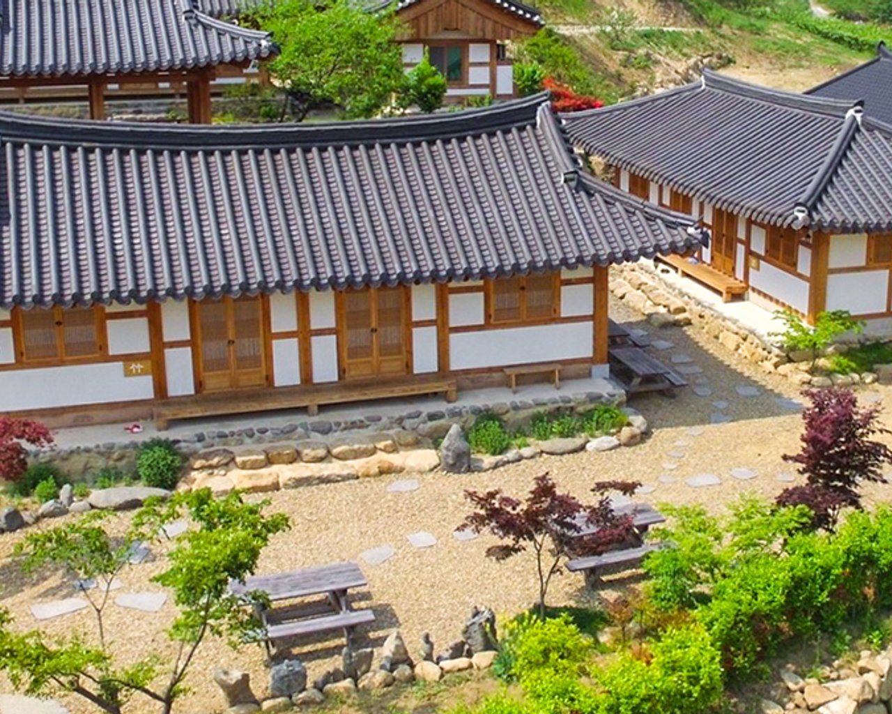 대표 사진