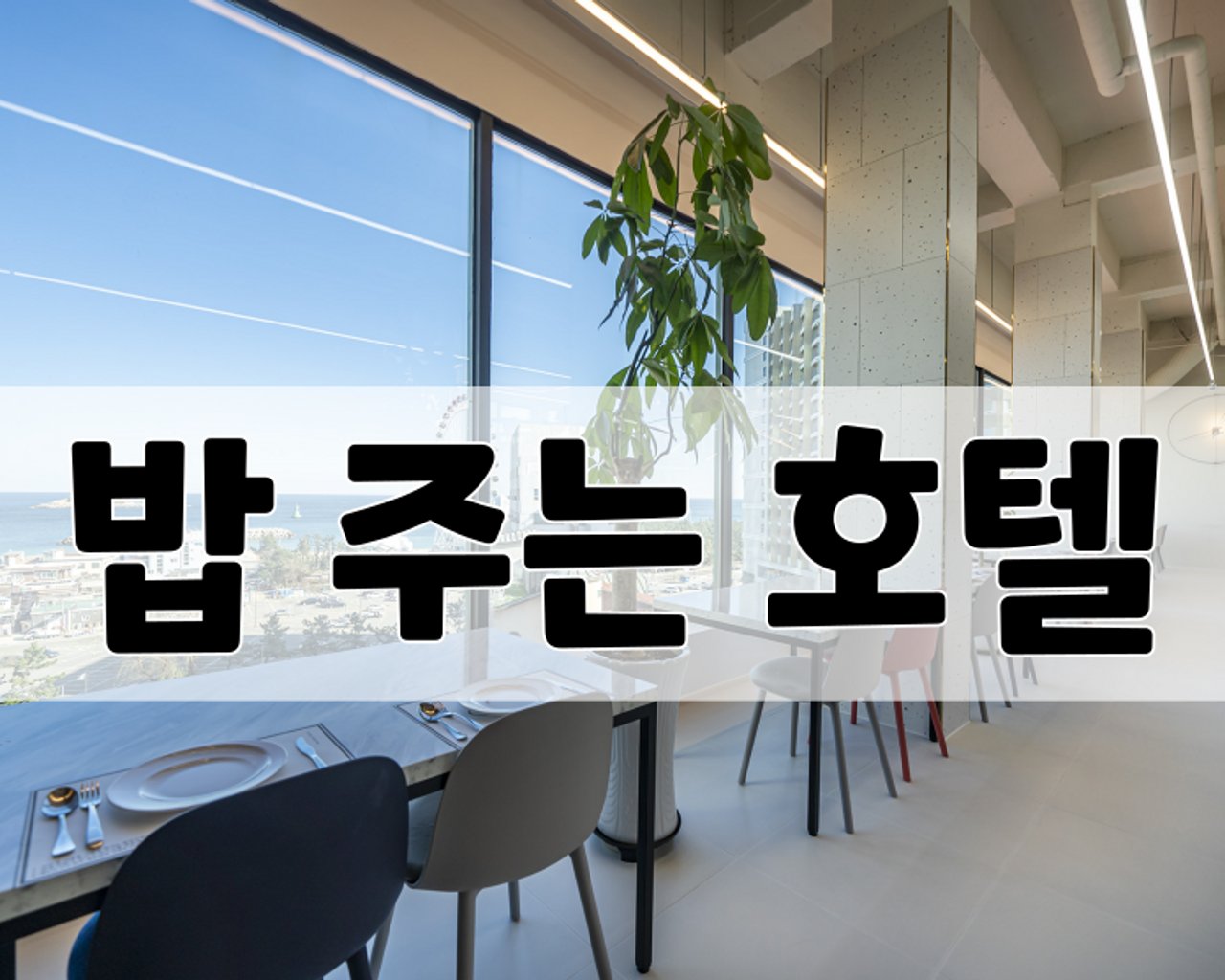 대표 사진