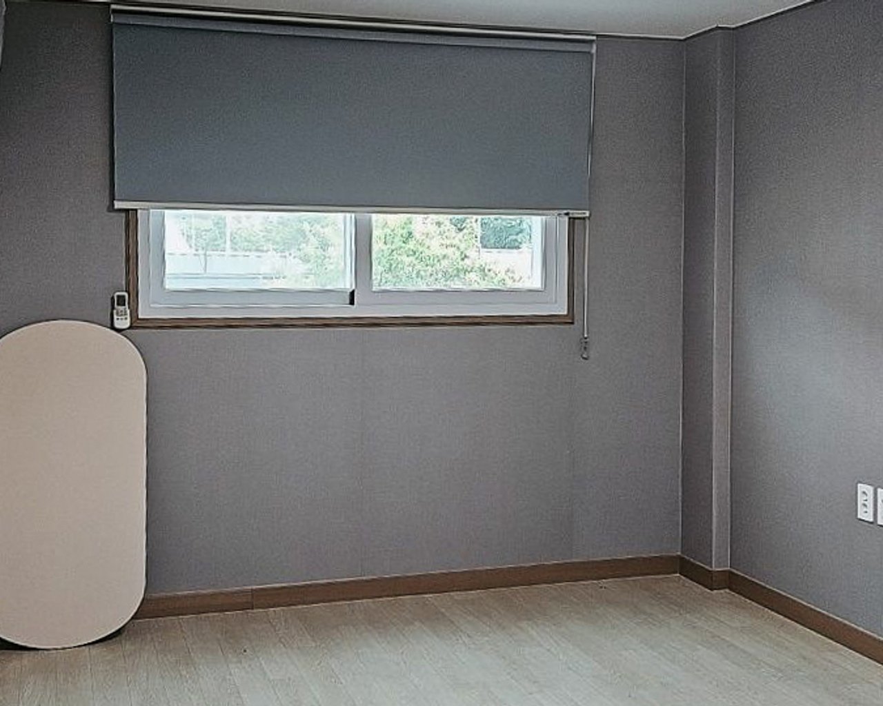 대표 사진