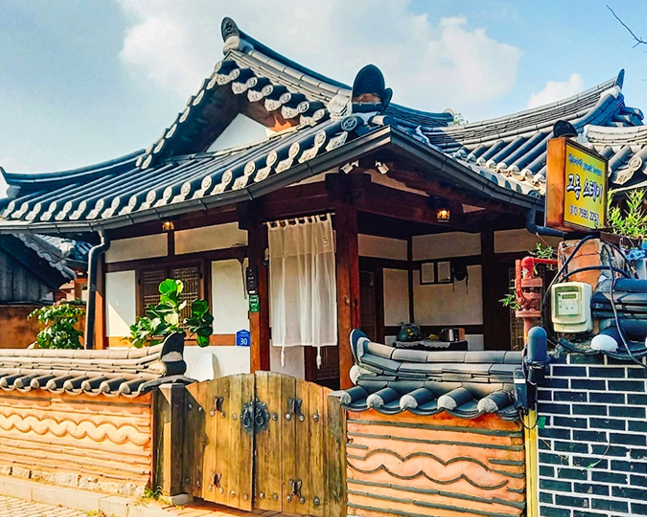 대표 사진
