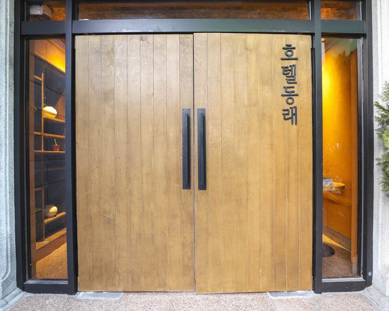 대표 사진