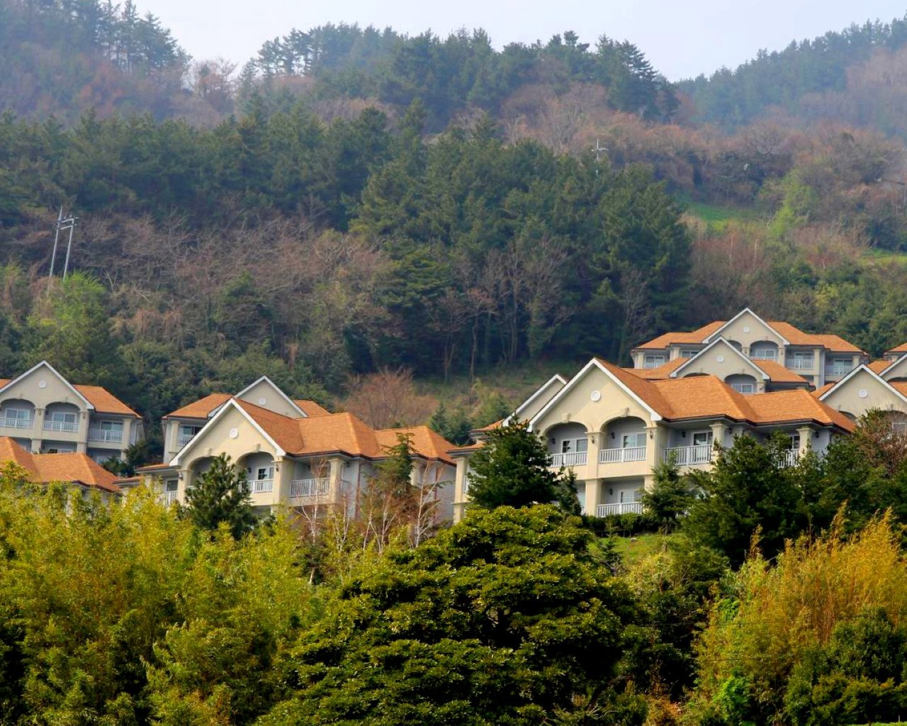 전경