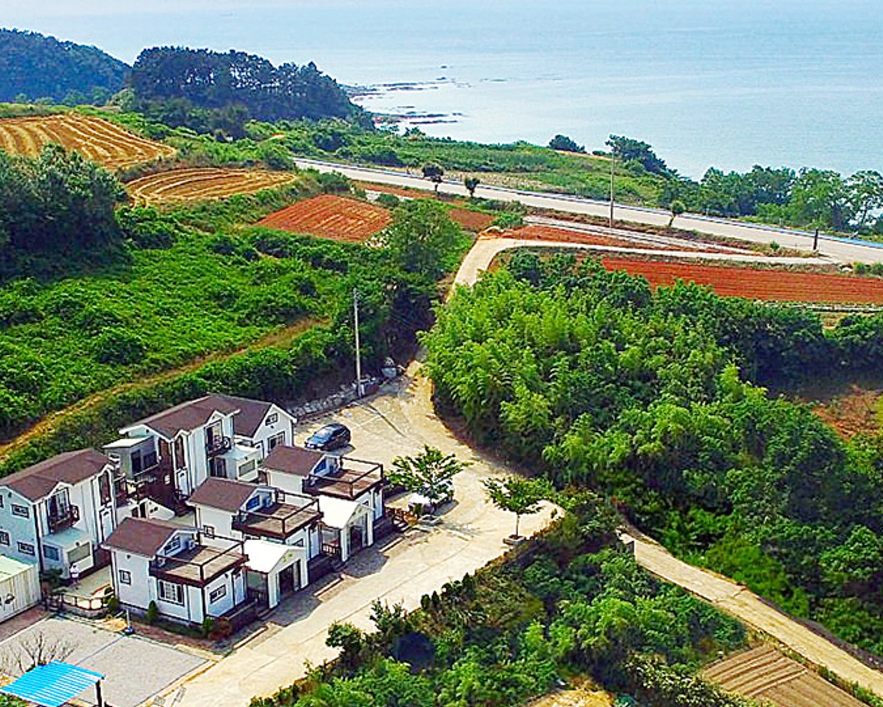 전경