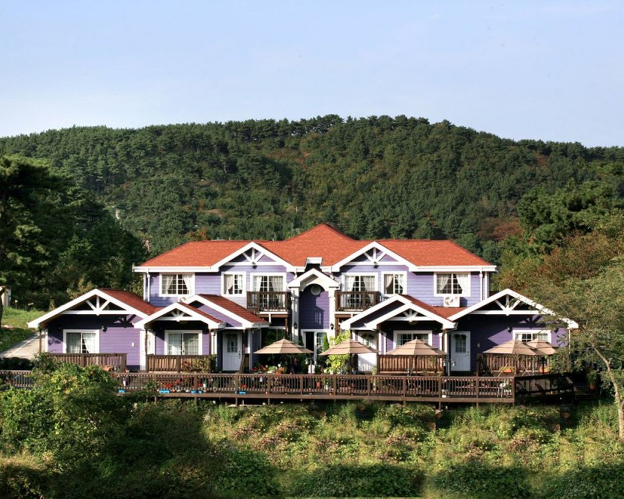 전경