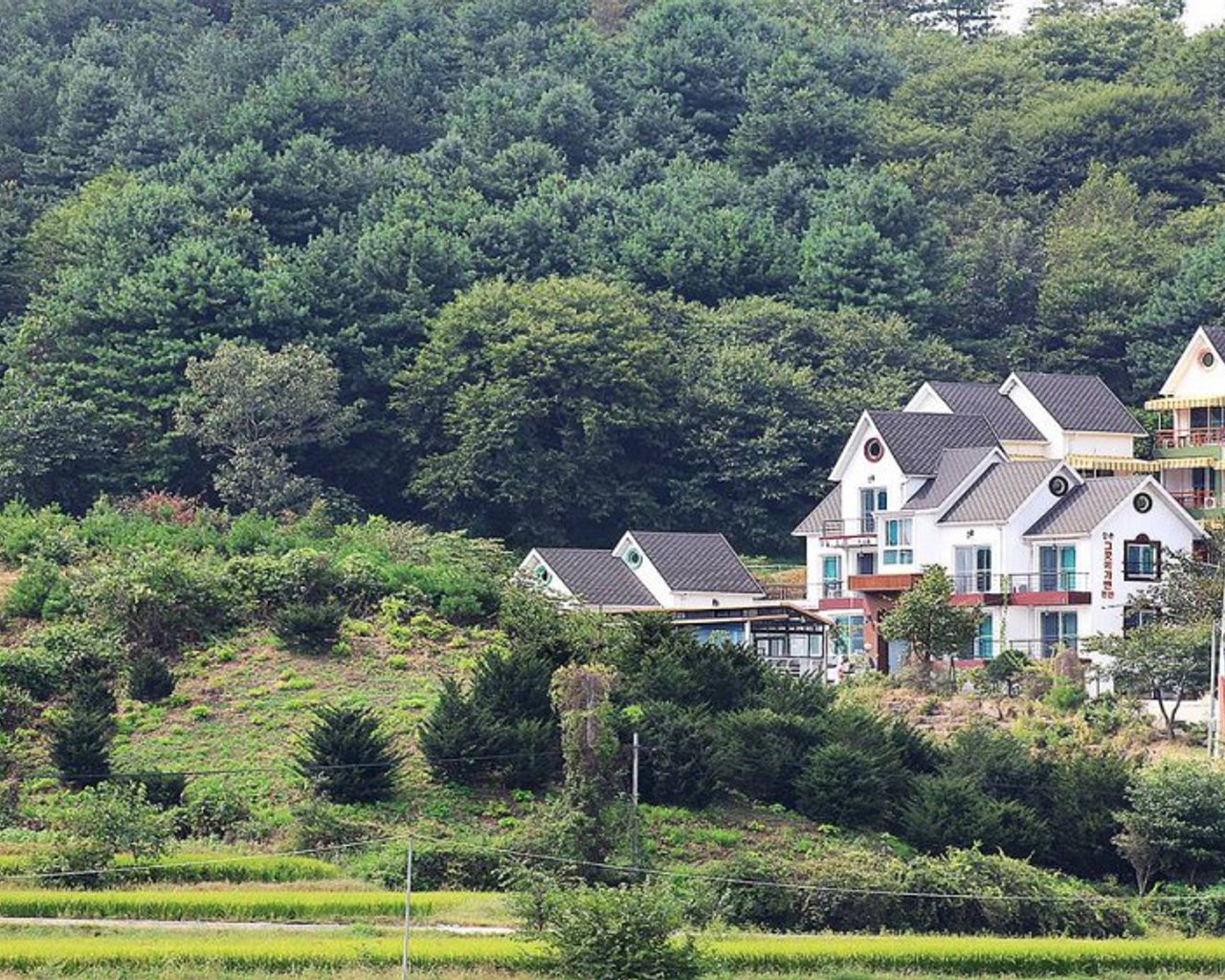 전경