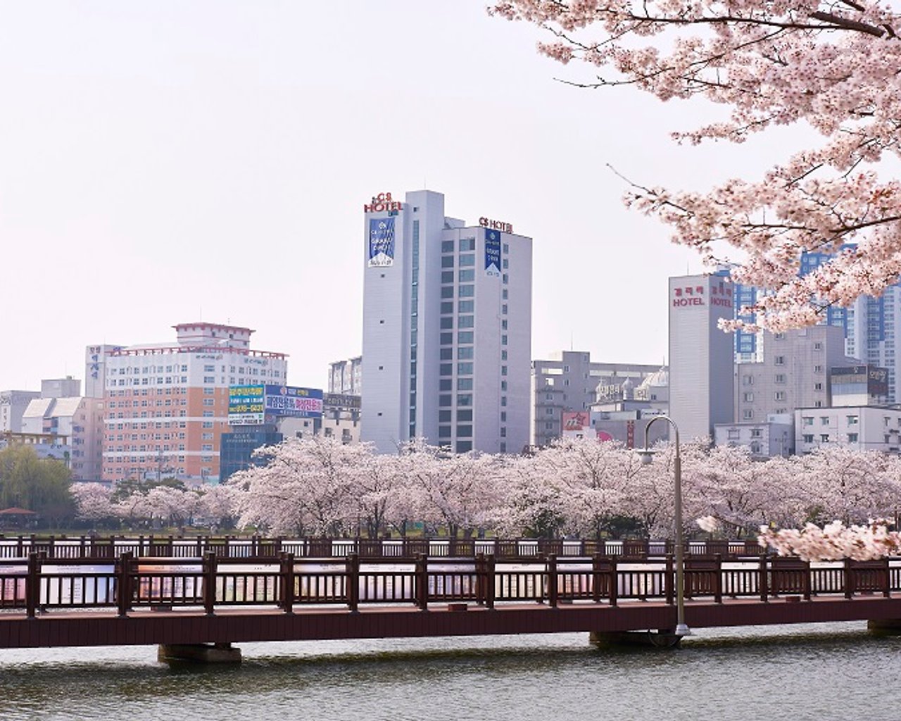전경