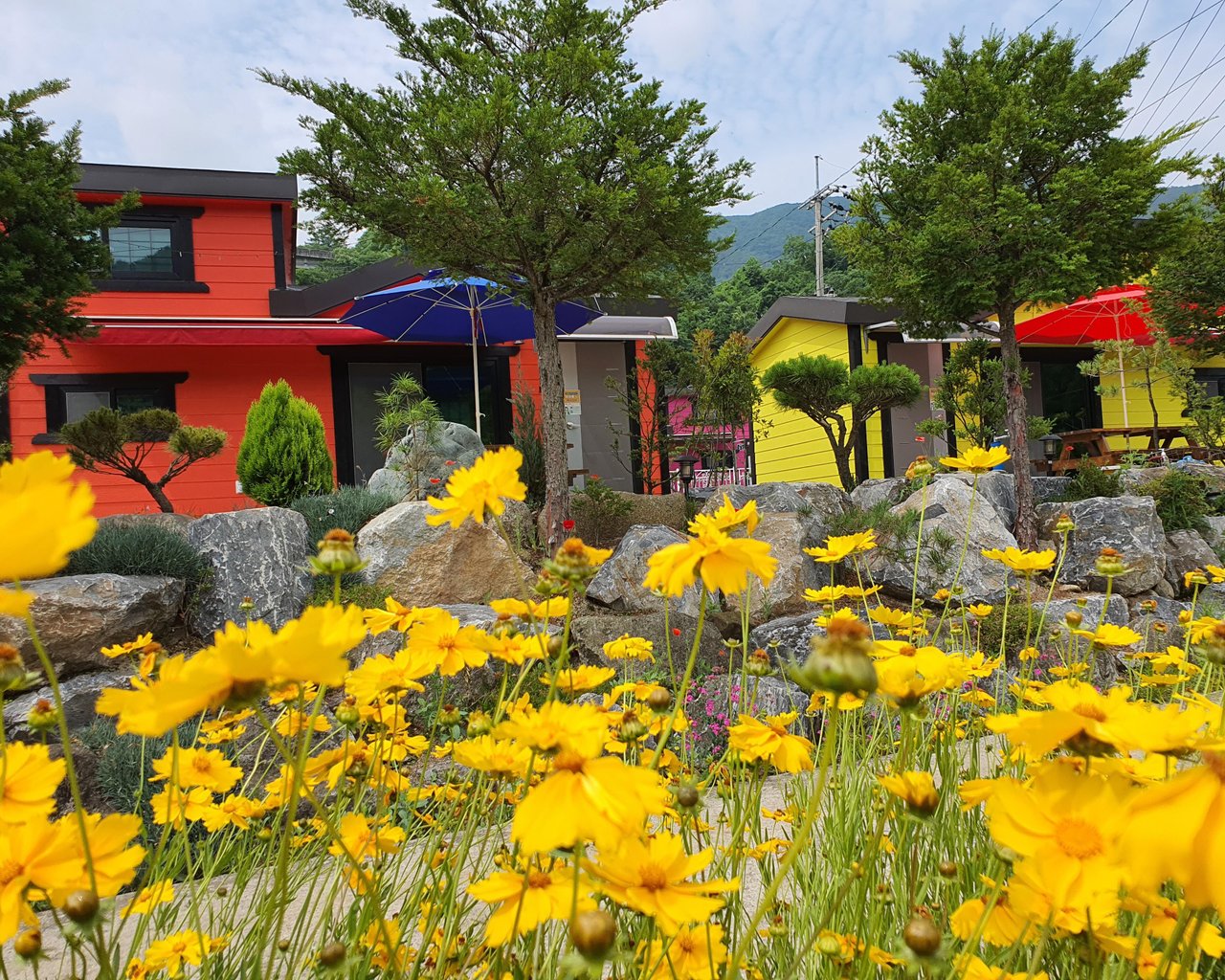전경