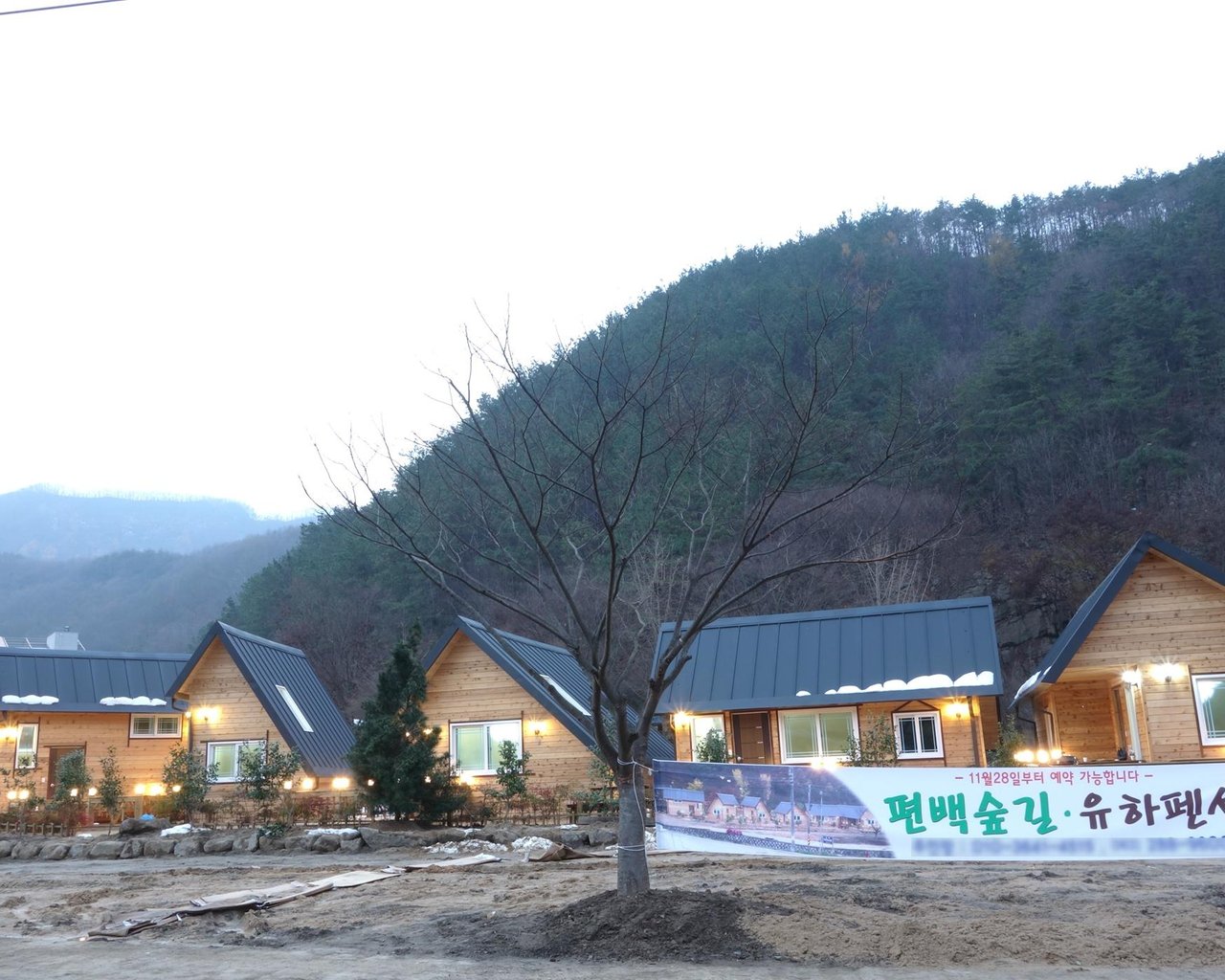 전경