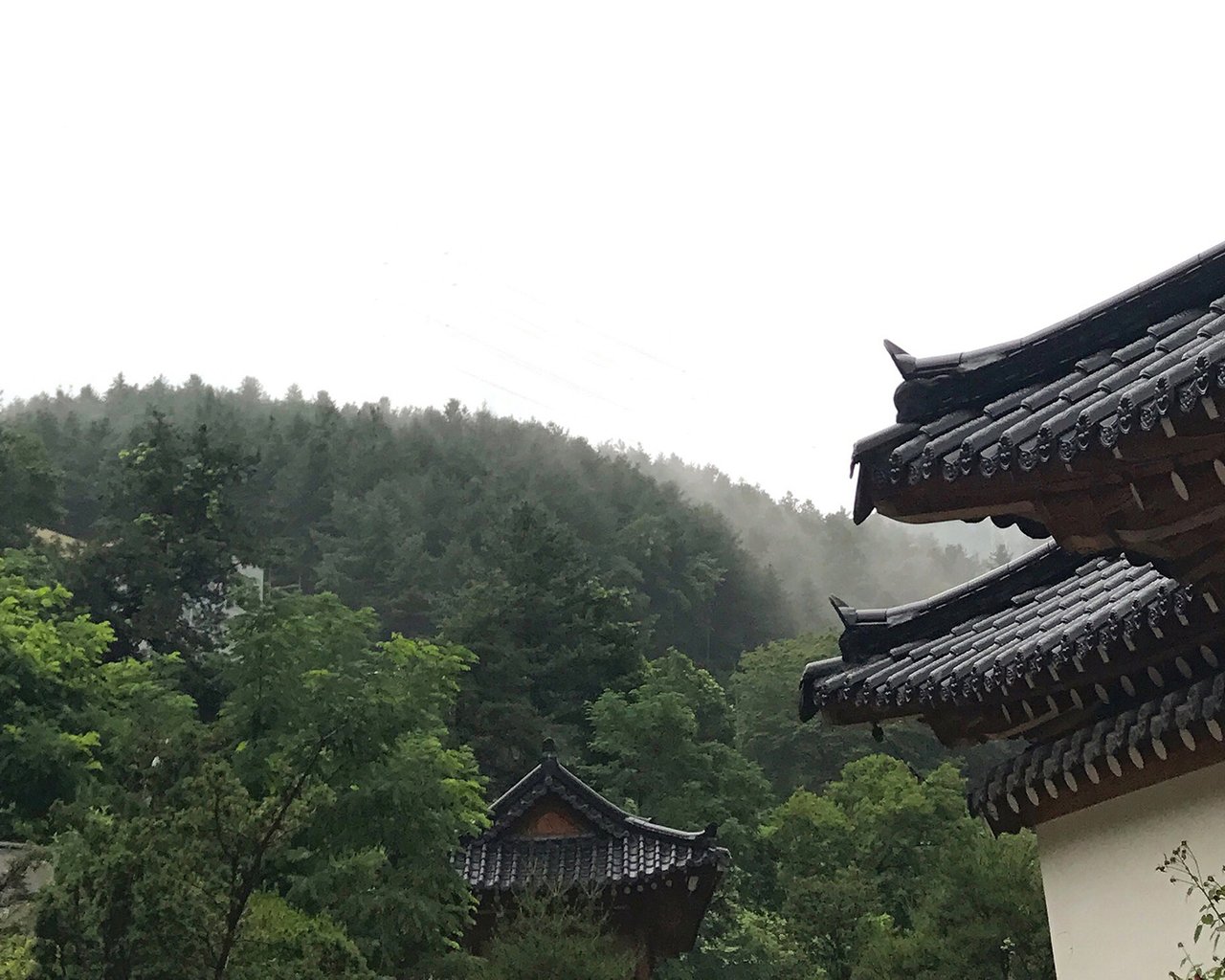 전경