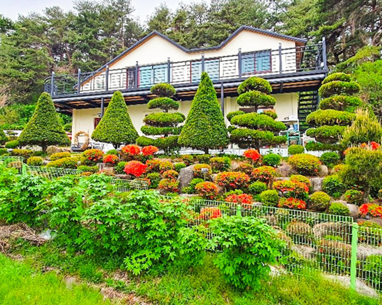 전경