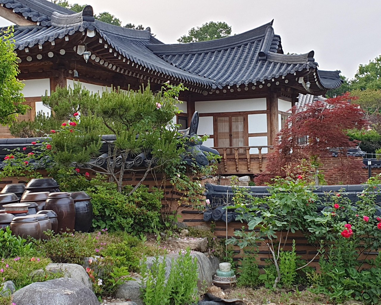 전경