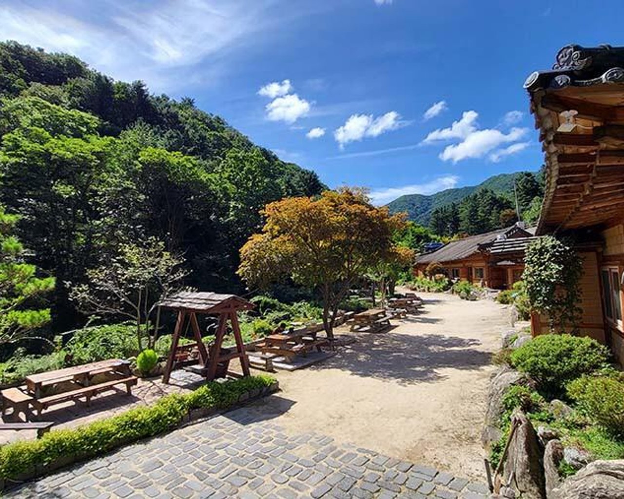 전경