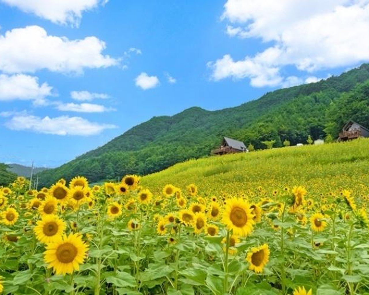 전경