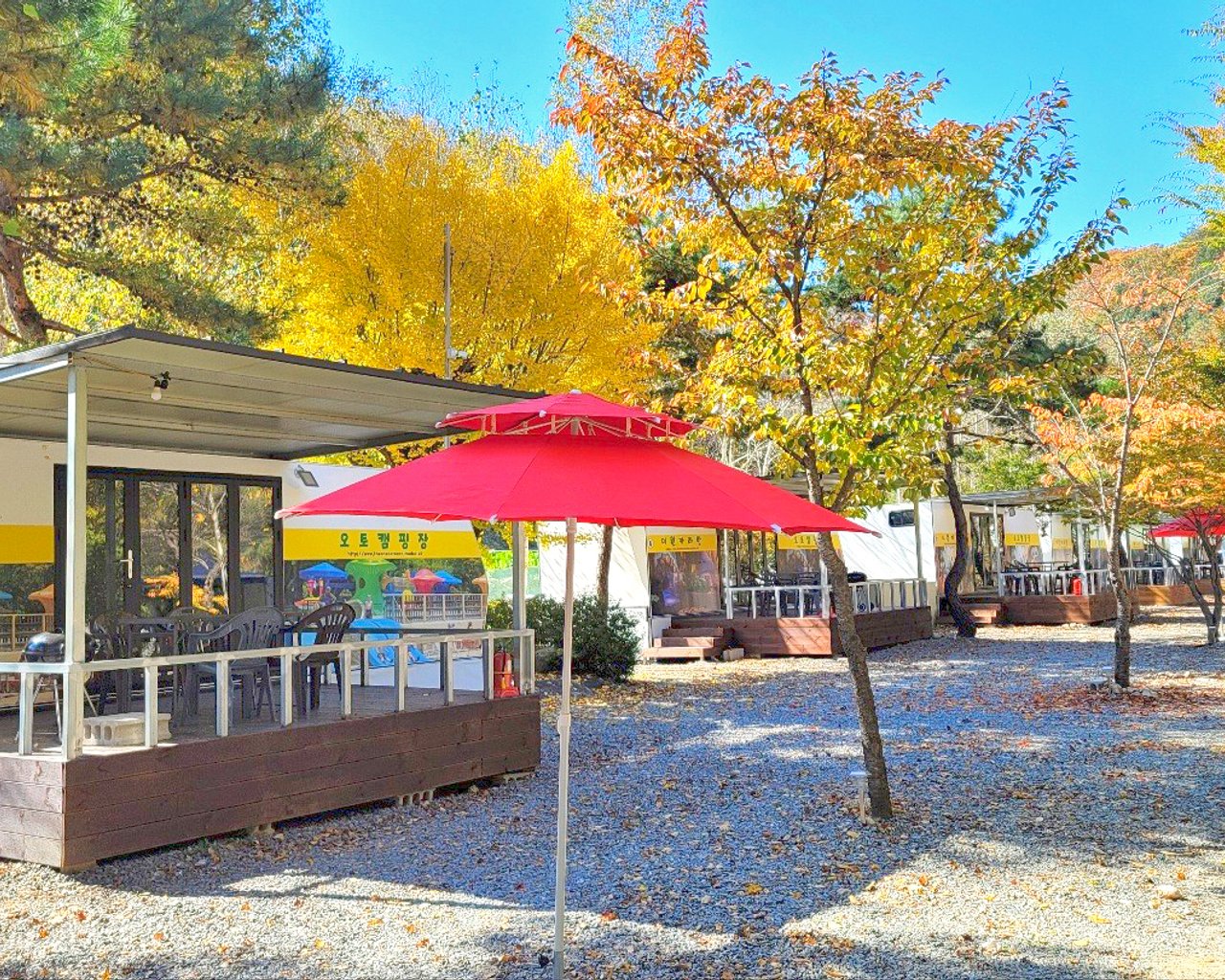 전경