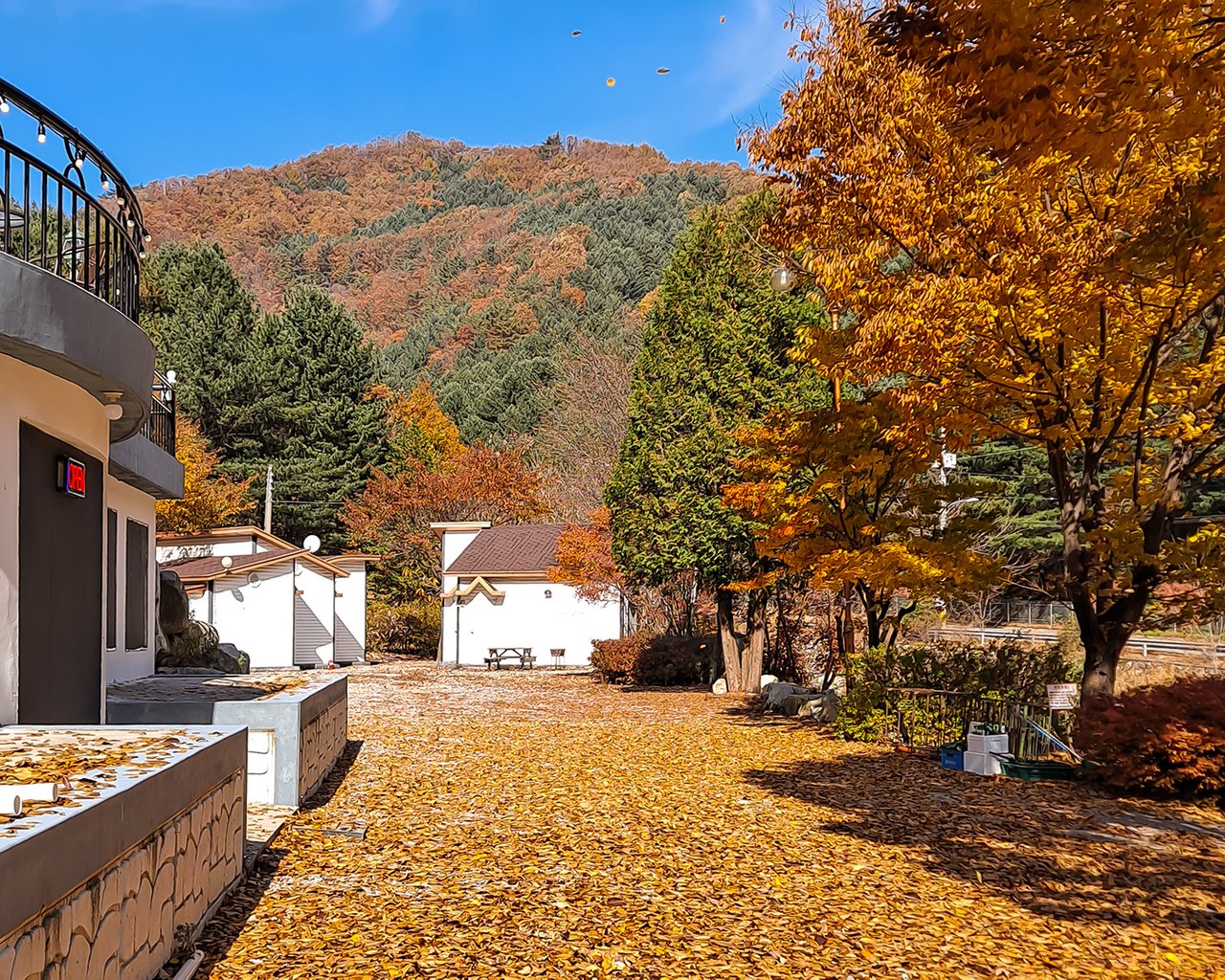 전경