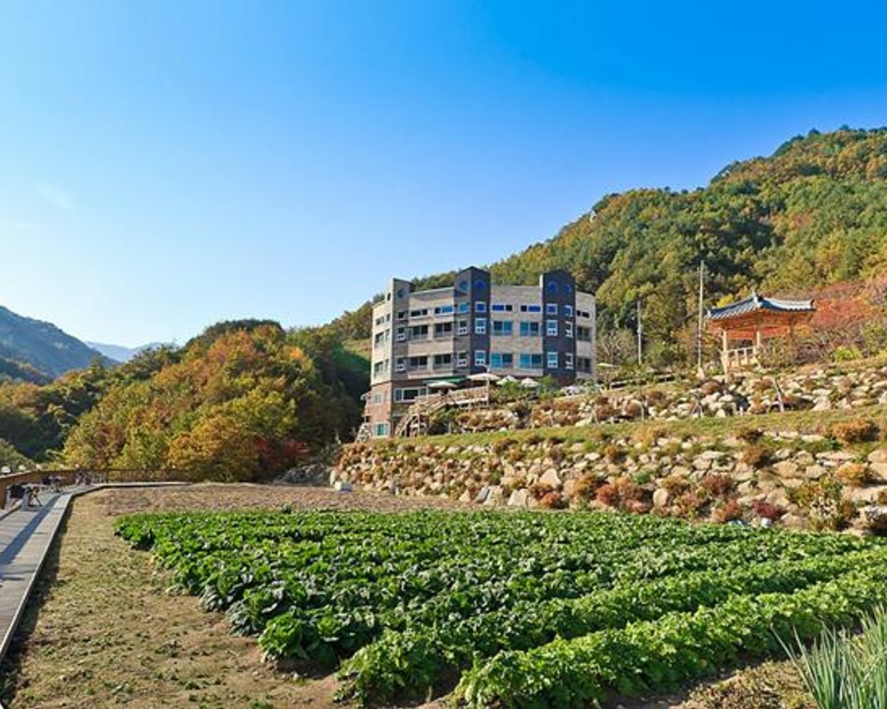 전경