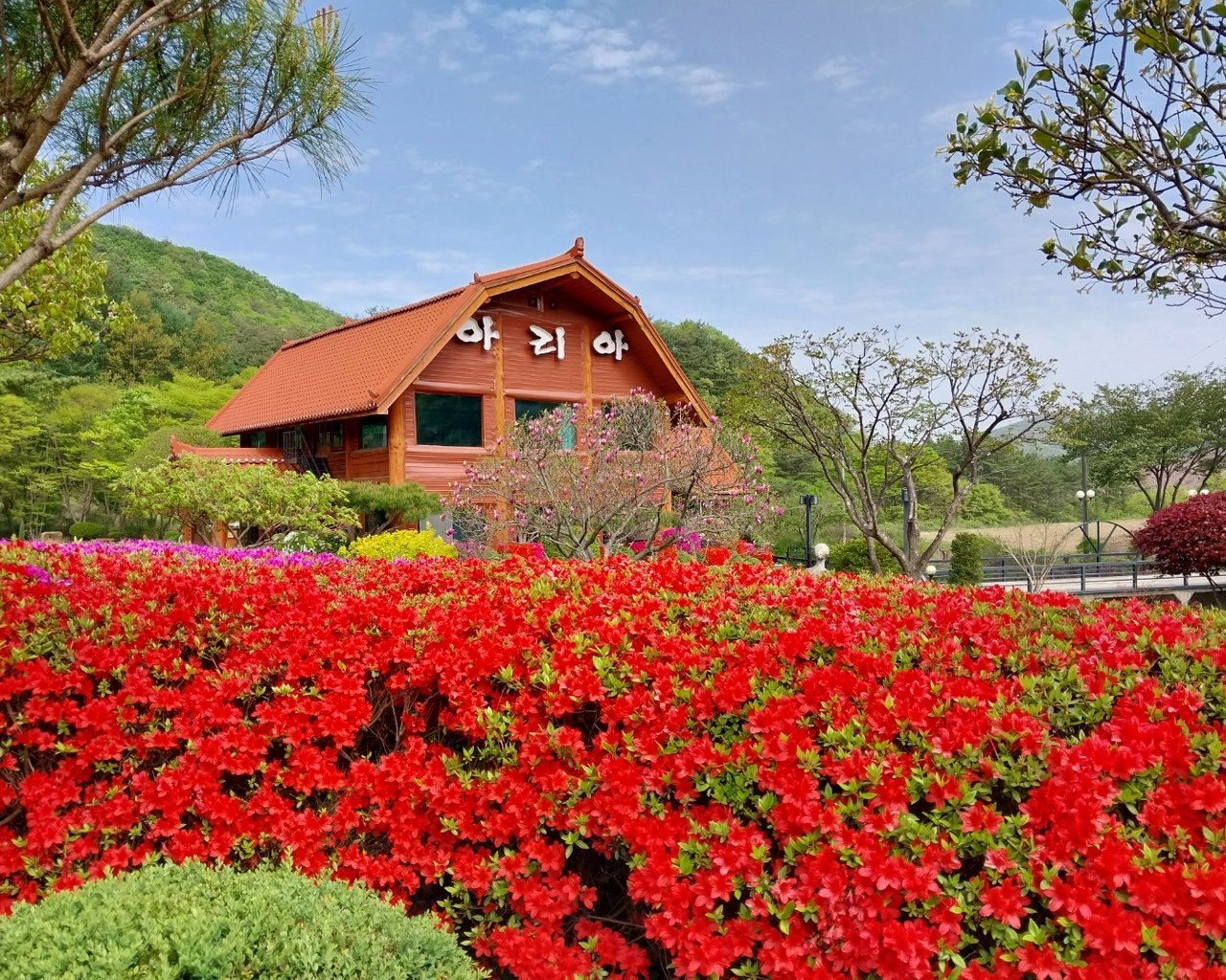 전경