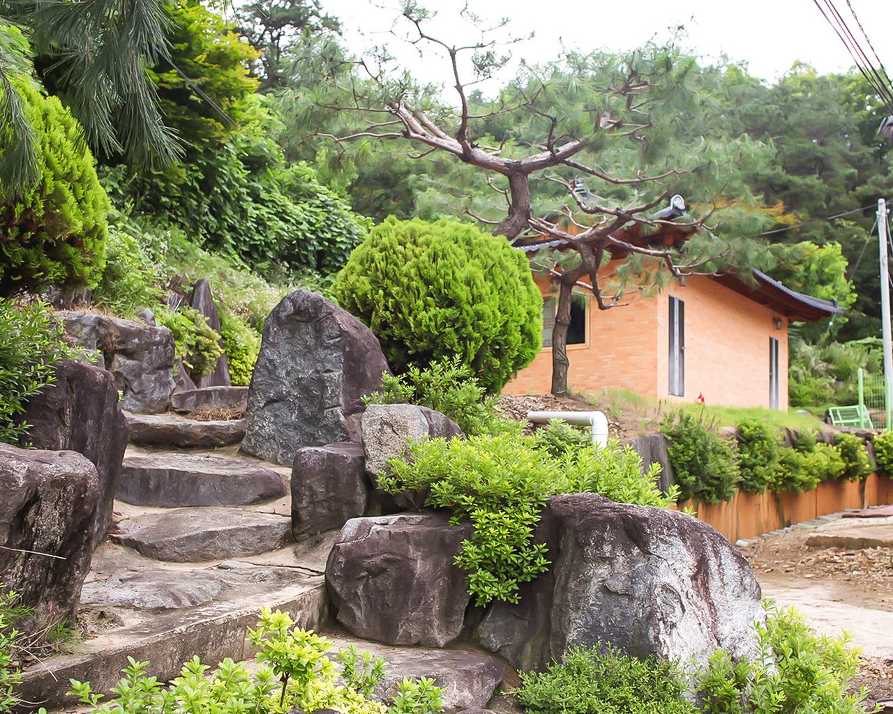 전경