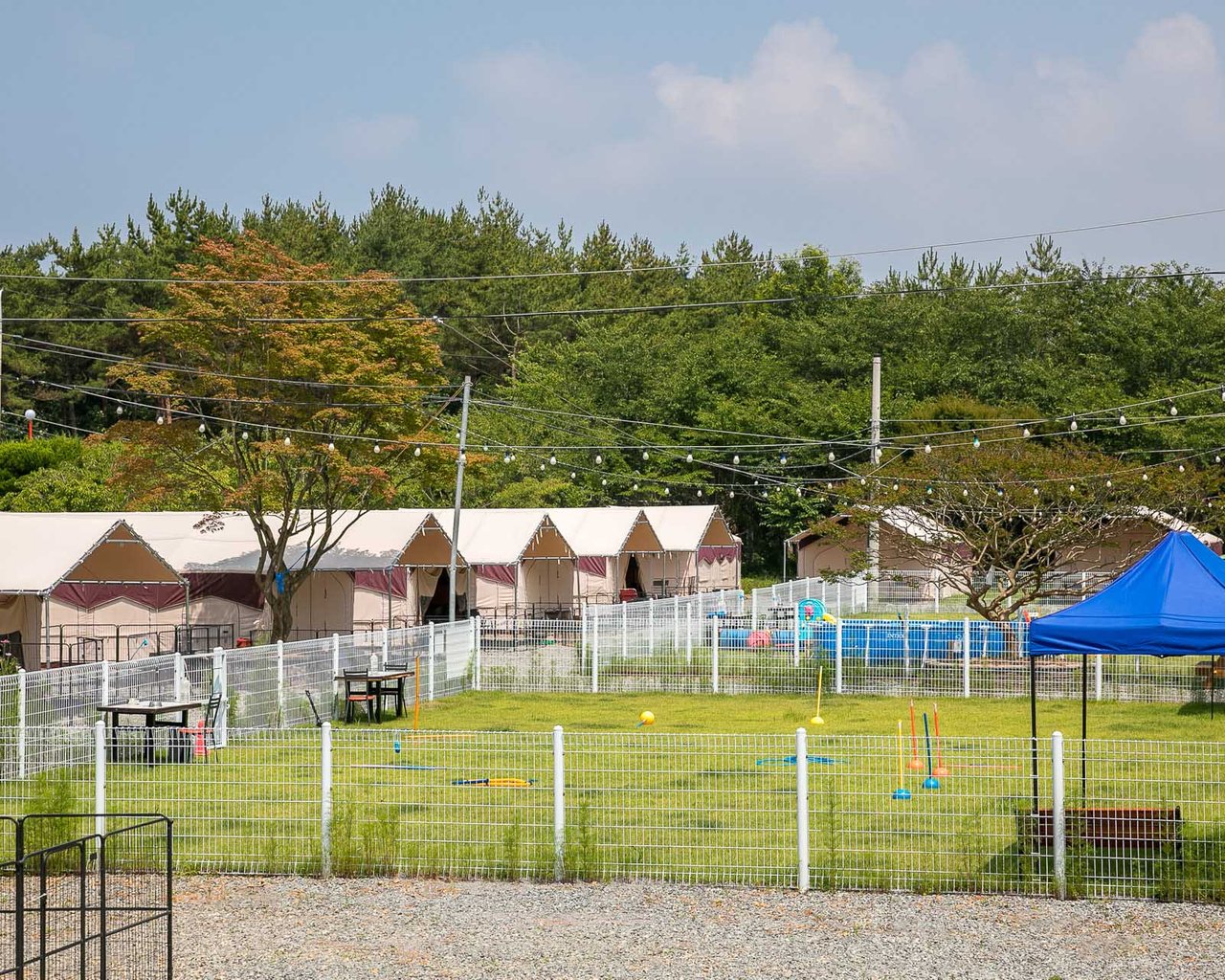 전경