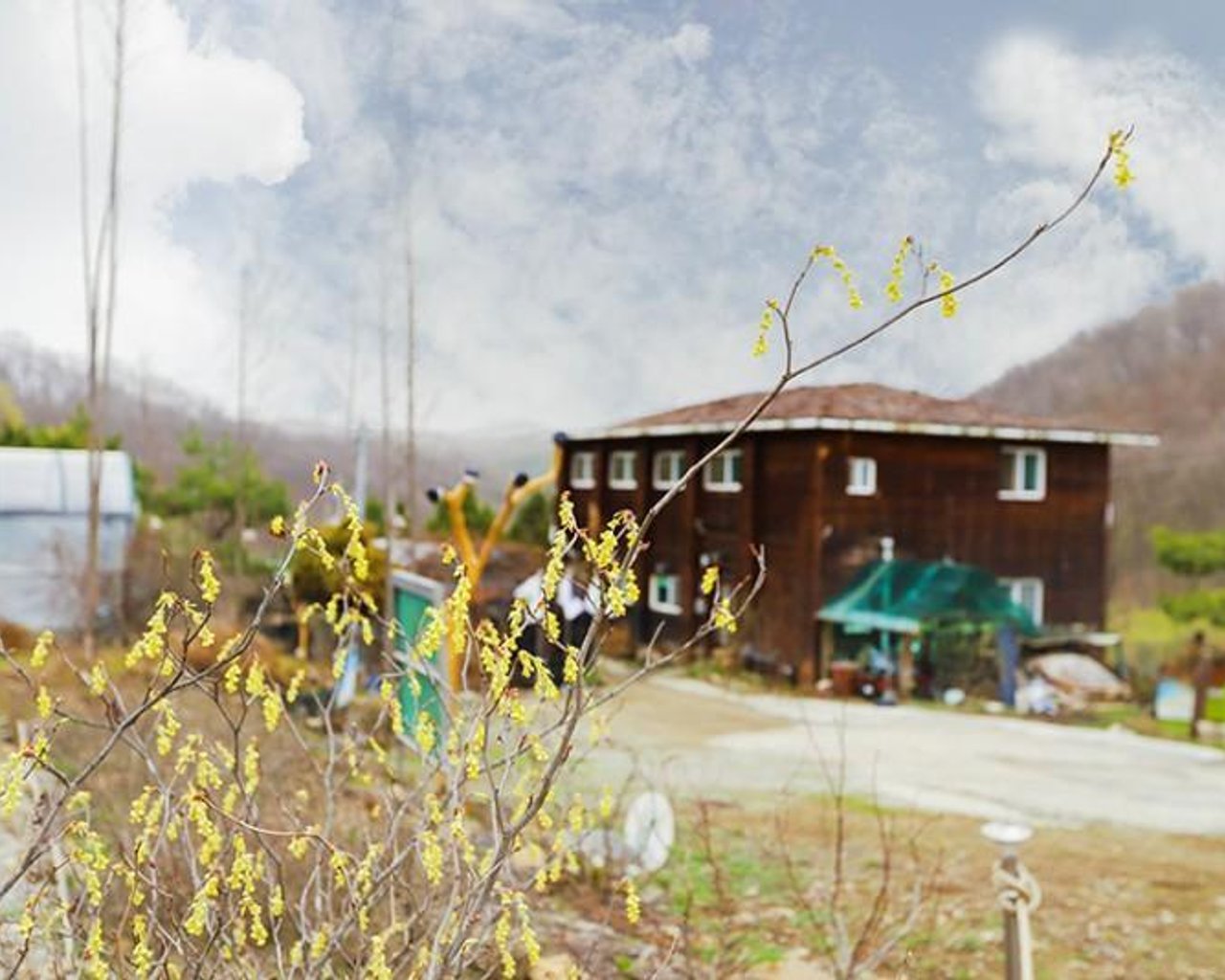 전경