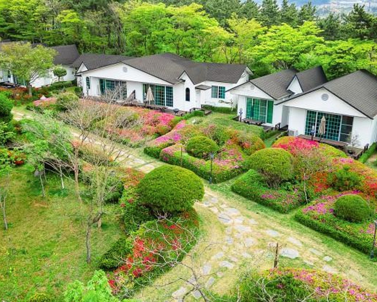 전경