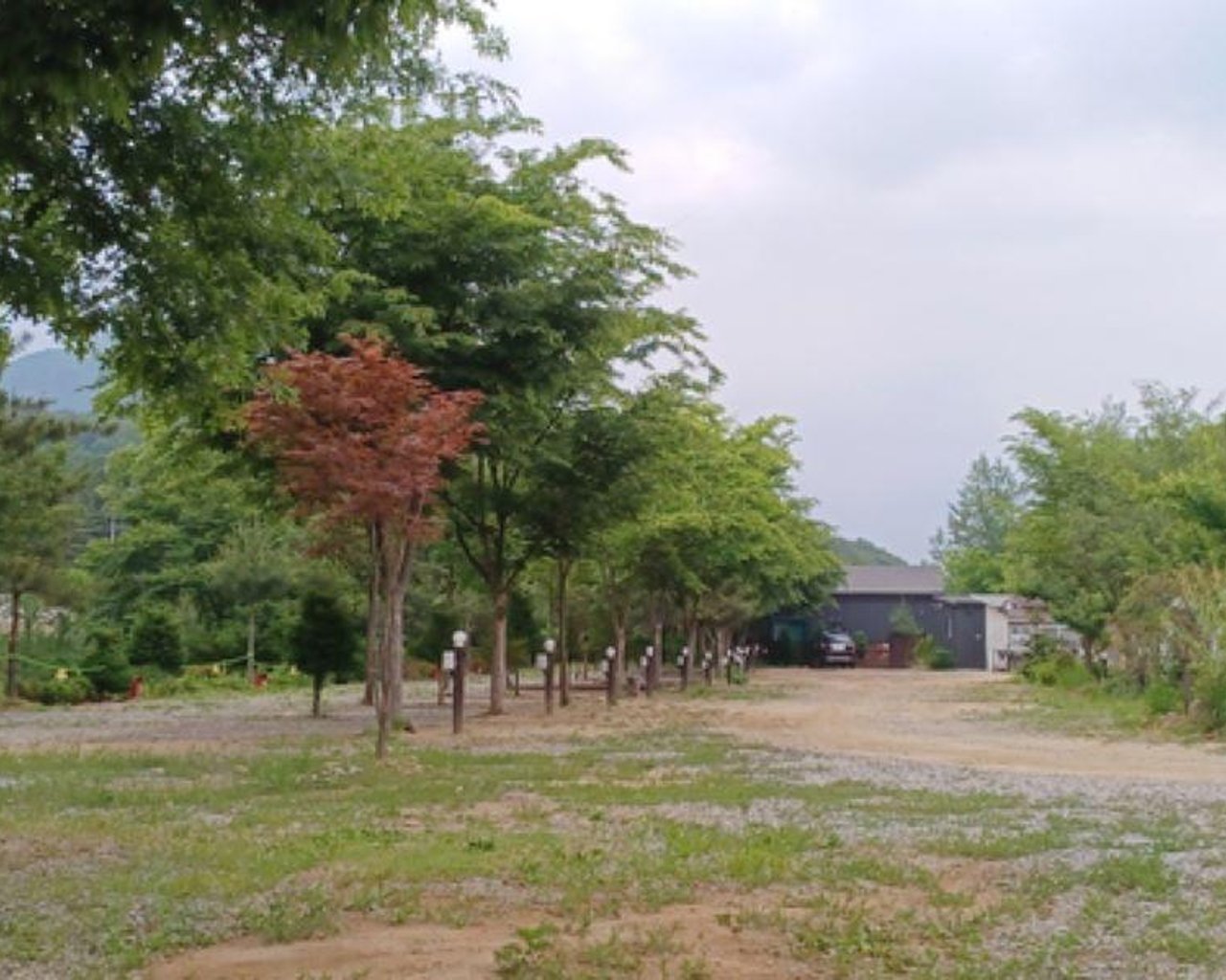전경