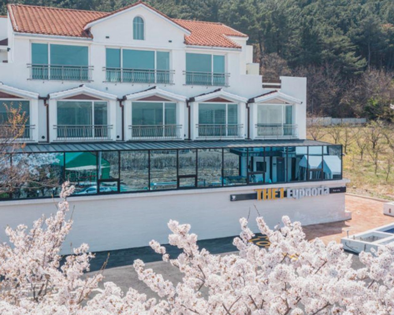 전경