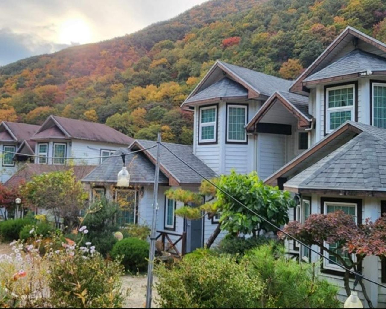 전경