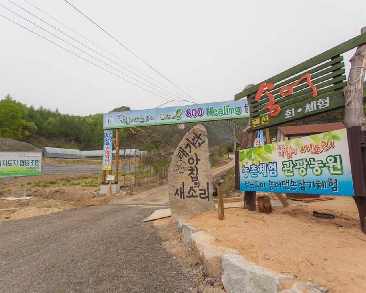 전경