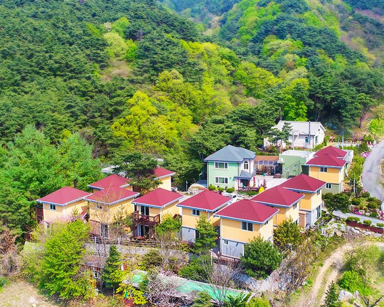 전경