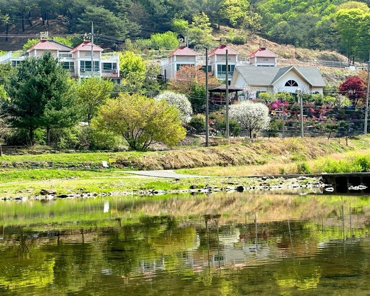 전경