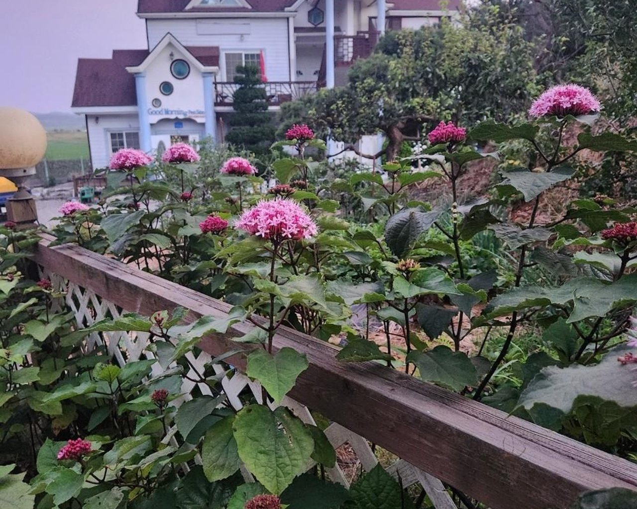 대표이미지 <복사>